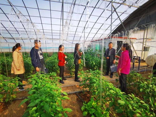 廣饒 加快農(nóng)業(yè)高質(zhì)量發(fā)展 推進(jìn)鄉(xiāng)村振興惠民生