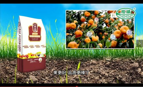 養(yǎng)元多肥料創(chuàng)造營(yíng),新品c位出道