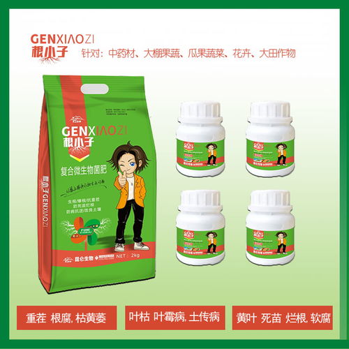 【中藥材黨參壯根膨大,中藥材黨參壯根靈藥,中藥材當歸壯根膨大】- 