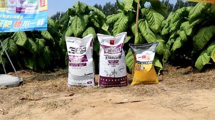 煙草死棵怎么辦,科學(xué)施肥助力&ldquo;煙都&rdquo;煙草增產(chǎn)提質(zhì)