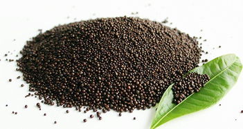 科技賦能農(nóng)業(yè) 肥料技術(shù)支持的創(chuàng)新與發(fā)展