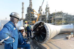 中國(guó)石化海外工程的“大烤驗(yàn)” 在石油化工工程前沿淬煉實(shí)力